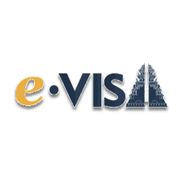 Electronic Visa